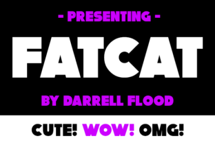 FatCat Font Review: Bold Display Type for Web Headers