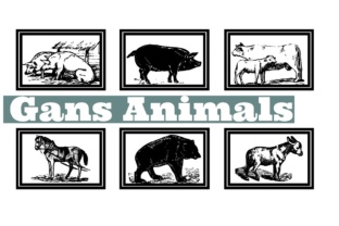 Gans Animals: A Vintage Font for Handmade Labels