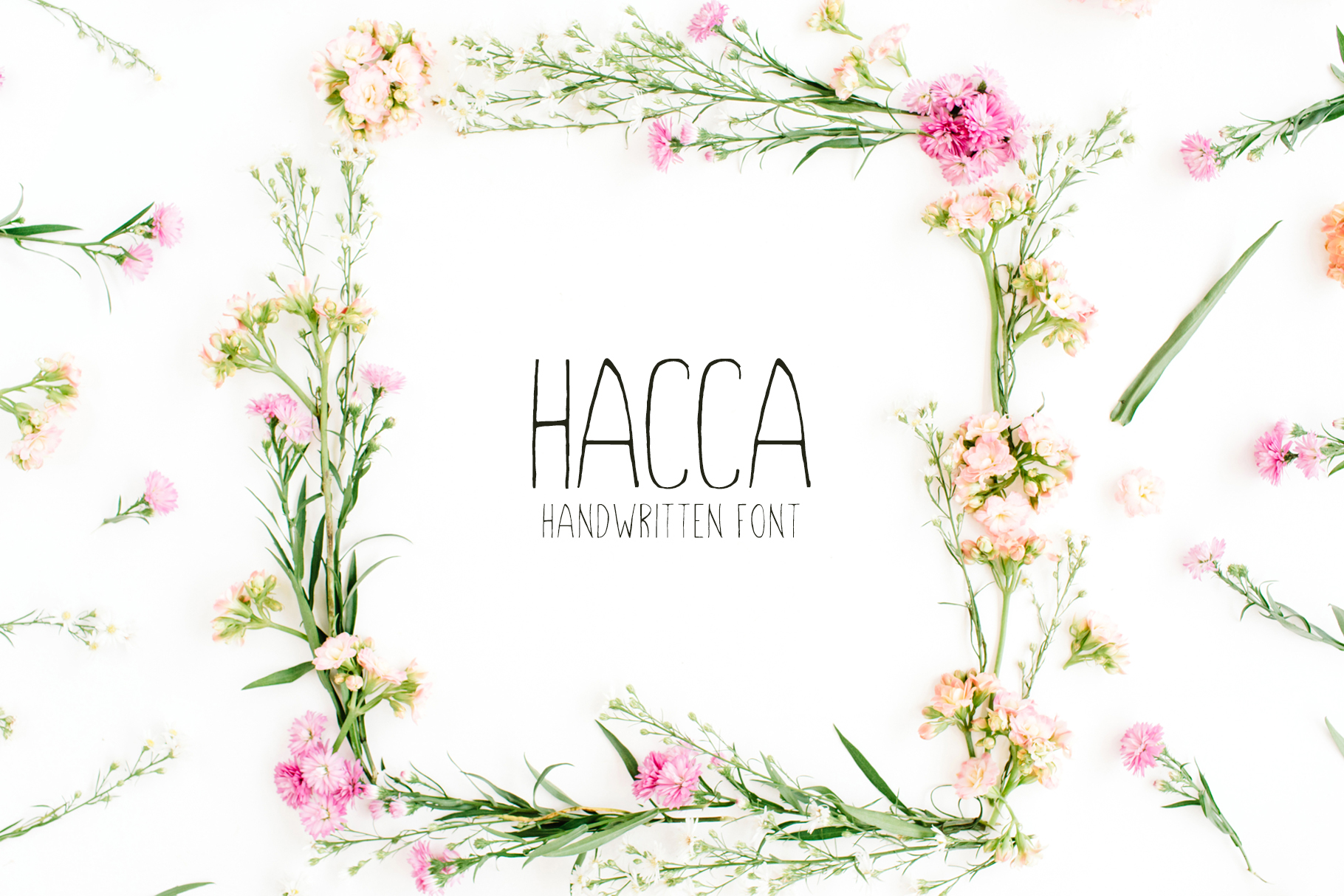 Hacca: A Handwritten Sans Serif Font for Modern Web Design