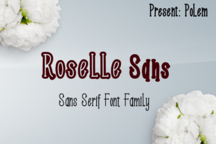 Roselle Sans: A Sleek Typeface for Modern Web Design