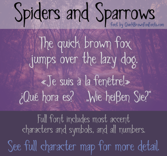 Spiders and Sparrows: A Unique Font for Bold Branding