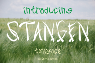 Stangen Font: A Bold Typeface for Small Business Branding