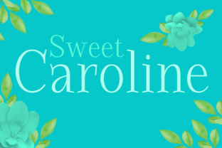 Sweet Caroline: A Rustic Serif Font for Modern Web Design